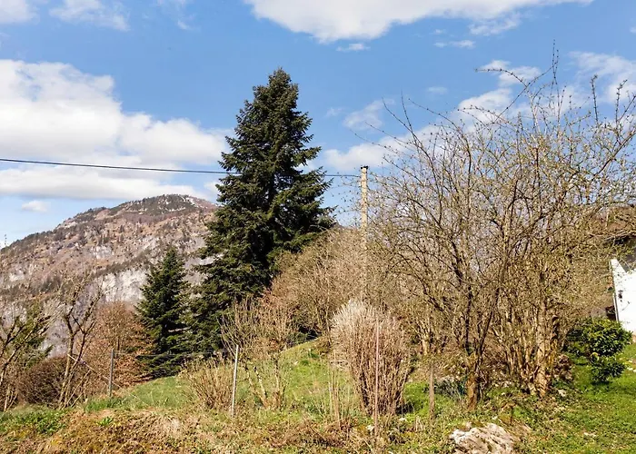 Haus Reiteralm * Schneizlreuth