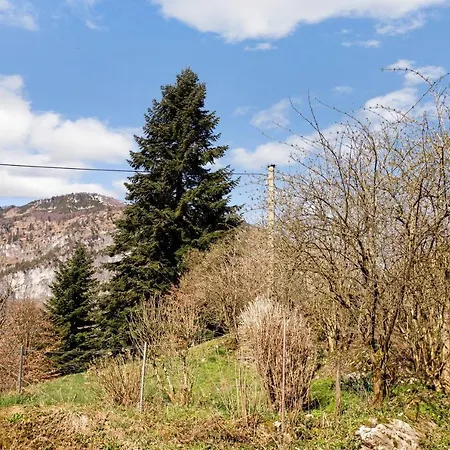 Haus Reiteralm * Schneizlreuth